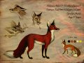 sheet_aseo_by_culpeo_fox-d6hiz3s.jpg